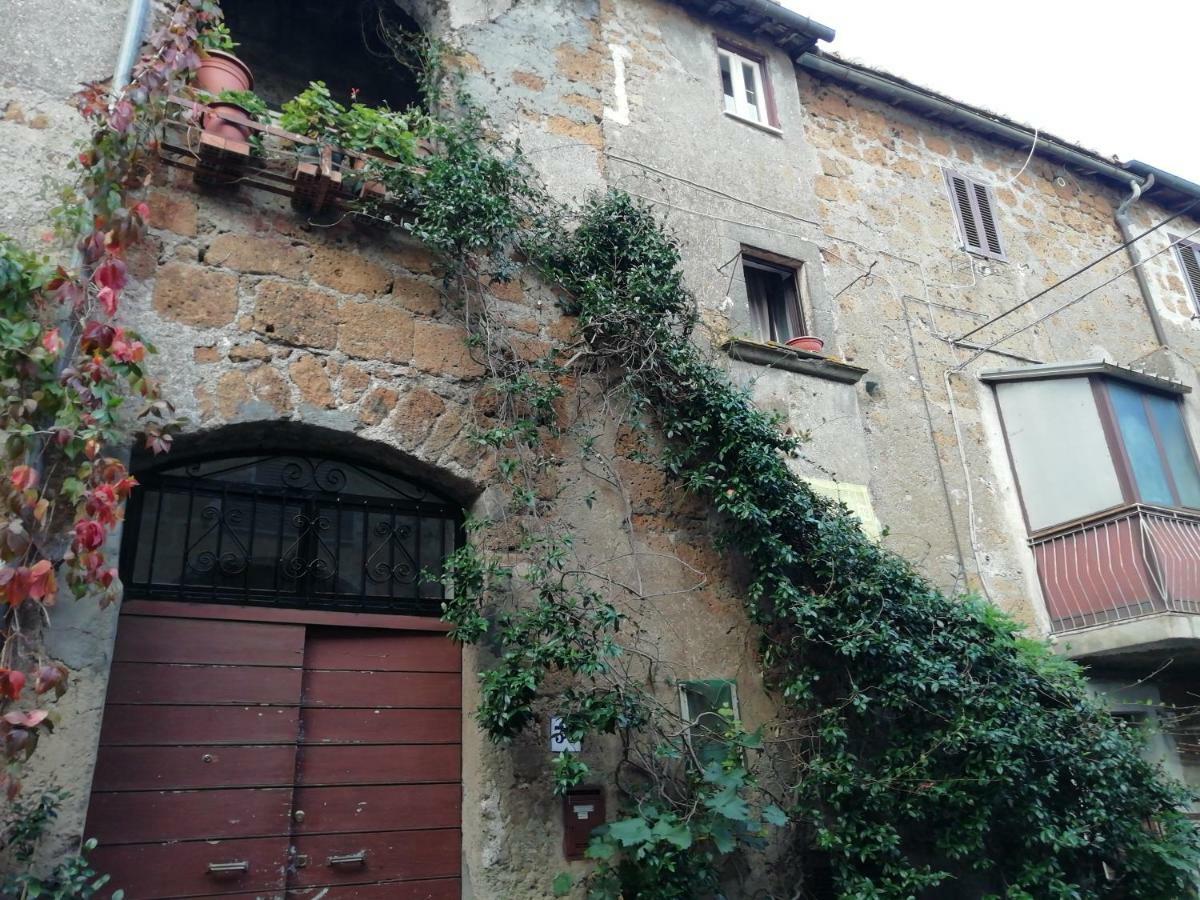 Relax Dal Caos Di Citta Apartment Barbarano Romano Bagian luar foto
