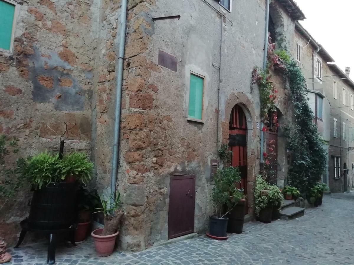 Relax Dal Caos Di Citta Apartment Barbarano Romano Bagian luar foto