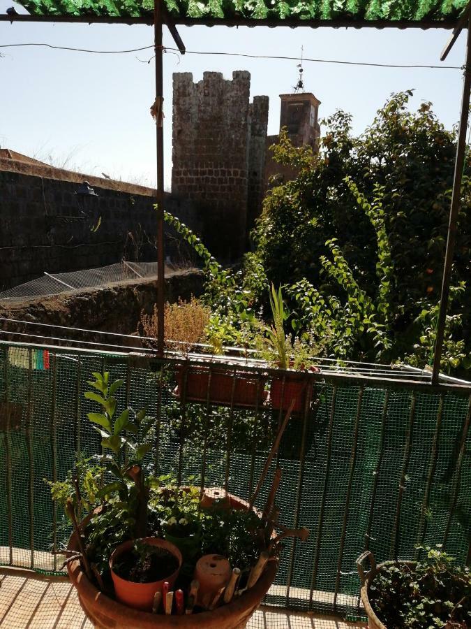 Relax Dal Caos Di Citta Apartment Barbarano Romano Bagian luar foto