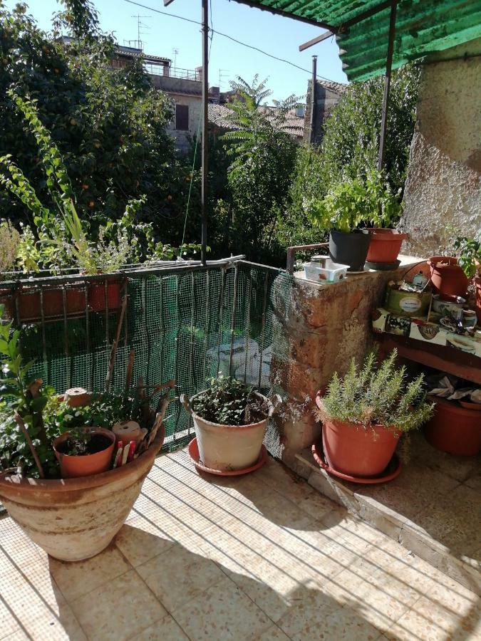 Relax Dal Caos Di Citta Apartment Barbarano Romano Bagian luar foto
